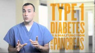 Type 1 vs Type 2 Diabetes [upl. by Nuahsyt]