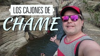 TODO lo que necesitas saber sobre los CAJONES DE CHAME  Panama 2018 [upl. by Hardden27]