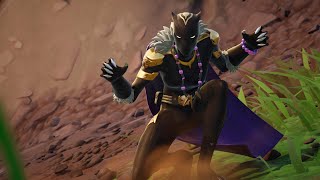 FORTNITE BLACK PANTHER [upl. by Eelytsirk]