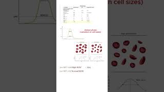 Red cell Distribution Width RDW [upl. by Mauri]