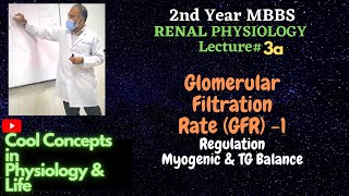 3a Glomerular Filtration Rate GFR 1  Regulation Myogenic TG Balance 2ndYR MBBS Physiology [upl. by Eloken555]