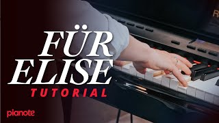 How To Play quotFür Elisequot by Beethoven Piano Tutorial  PDF Sheet Music [upl. by Rudiger173]