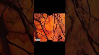 Schoolboy Q Eras schoolboyq music albumcovers shorts trending viral [upl. by Ynad]