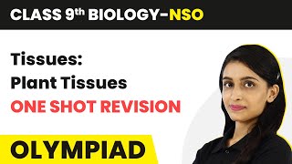 Class 9 National Science Olympiad NSO Biology  Tissues Plant Tissues  One Shot Revision [upl. by Ayin]