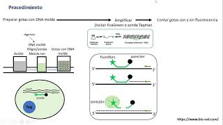 Droplet digital PCR ddPCR [upl. by Neryt]