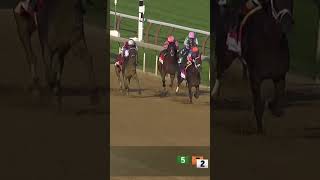 FIERCENESS wins the 2024 Travers Stakes [upl. by Resa109]