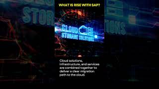 What is RISE with SAP sap sapcloud [upl. by Yanttirb]