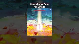 HOW WHALES FARM FOR SETHOS [upl. by Hazen607]