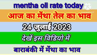 मेंथा तेल का भाव mentha oil rate today mentha oil rate menthaoilrate mentha [upl. by Ashwin987]