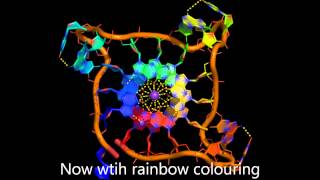 The parallel DNA Gquadruplex [upl. by Burd582]