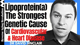 The Strongest Genetic Cause Of Heart Disease  Lipoproteina   Dr David Sinclair Interview Clips [upl. by Annaig]