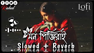 মন পিঞ্জিরায় 💔🥀  Mon Pinjiray Lofi Song  Slowed Reverb Lofi Song  Sad Bangla Song 2023 [upl. by Anaxor599]