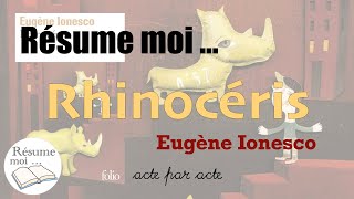 Rhinocéros  Eugène Ionesco  Résumé acte par acte [upl. by Iroj]