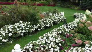 SUNPATIENS® WHITE [upl. by Amalita]