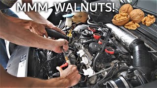 Is walnut blasting your GTI worth it Mk6 GTI Carbon Cleaning [upl. by Ahsiema555]