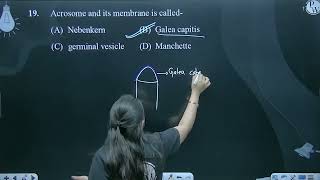 Acrosome and its membrane is called [upl. by Akeinahs491]