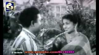 Prema Lokaya Niwi Giya ප්‍රේමාලෝකය නිවී ගියා  Old Movie Song  From Purusha Rathnaya 1959 [upl. by Lucienne]