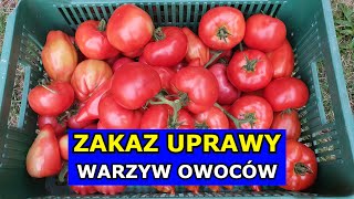 Czy będzie Zakaz Uprawy Warzyw i Owoców we Własnych Ogródkach Przydomowych Zielony Ład Ślad węglowy [upl. by Ahel]