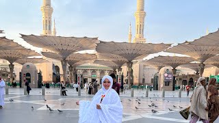 Rindu Madinah Aku dan Madinah bareng ar rehab tourARREHABTOUR [upl. by Owena]