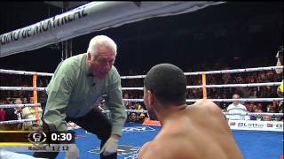 David Lemieux vs Elvin Ayala HD [upl. by Starkey99]