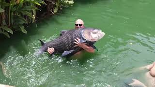 Bazils 2nd fish on his first morning at Gillhams Fishing Resorts Thailand [upl. by Aeduj195]