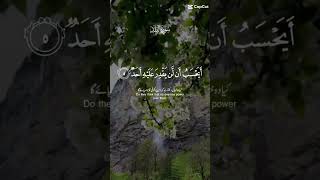 beautiful islamic status facts 4k urdupoetry urdushayari urduquotes religion shortsfeed [upl. by Alyssa]