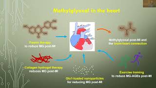 Dealing With Methylglyoxal After Myocardial Infarction  Weekly Research Conference [upl. by Sena852]