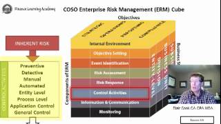 7 Control Activities COSO ERM Framework [upl. by Iruj456]