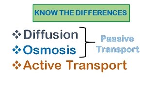 Cell Transport Diffusion osmosis active transport [upl. by Ynnavoeg]