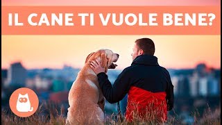 Sei la persona preferita del tuo cane 🐶❤️10 SEGNALI per capire che il cane ti vuole bene [upl. by Aknahs10]