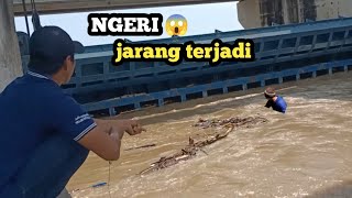 NGERI jaring ikan di depan pintu air bendung gerak dapat ikan BABON sebanyak ini [upl. by Airual]