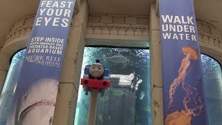 Thomas the Tank Engine came to see the Big Aquarium in Mandalay Bay Hotel [upl. by Cassie550]