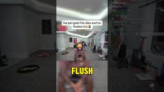 Kai pet gold fish dies he flushes it 😭🪦 kaicenat kaicenatclips shorts youtubeshorts [upl. by Inasah]