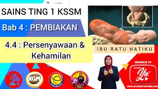 SAINS TING 1 KSSM BAB 4  44 Persenyawaan dan Kehamilan [upl. by Darsey]