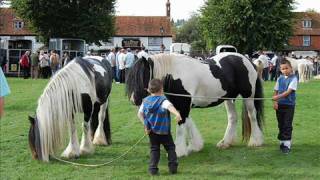 Gypsy cob horses Horsemonden Fair 2008 [upl. by Secor710]