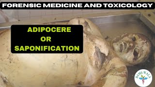 ADIPOCERE  SAPONIFICATION  FORENSIC MEDICINE AND TOXICOLOGY  MBBS  BAMS WALA [upl. by Kevon]