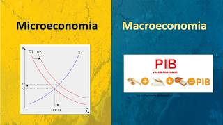 Aprenda as diferenças entre a Macroeconomia e a Microeconomia [upl. by Bob]