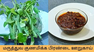 மருத்துவ குணமிக்க பிரண்டை ஊறுகாய் செய்முறை ரகசியம்  Pirandai oorugai Pirandai Pickle Recipe [upl. by Asamot779]