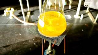 iodure de potassium vs nitrate de plomb II [upl. by Annid]