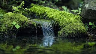 Mountain River amp Birds Chirping White Noise  Relaxing Waterfall Sounds for Sleep amp Stress Relief [upl. by Hosbein561]