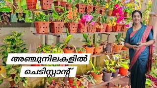 Easy method of plant stand സ്ഥലം കുറവുള്ളവർക്ക് അഞ്ചുനിലകളിൽ ചെടിസ്റ്റാൻഡ് ഉണ്ടാക്കാംPlant Tower [upl. by Jeavons]