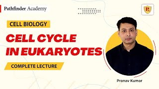 Cell cycle in eukaryotes  Cell Biology  Pranav Kumar  CSIR NET  GATE  CUET PG  IIT JAM [upl. by Gabrielle]