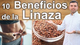 Para Que Sirve la Linaza – 10 Beneficios y Propriedades Que Debes Conocer [upl. by Tehc]