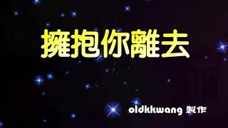 擁抱你離去DJ版karaoke 去人聲 [upl. by Auhsuoj]