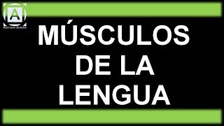 MÚSCULOS DE LA LENGUA [upl. by Stoffel]