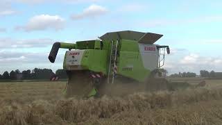 Claas Lexion 660 wintergerst oogsten oost Groningen farmers [upl. by Harias]