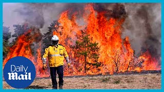 Landiras fire Frances Gironde gets decimated by wildfires and heatwave [upl. by Rydder]