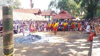 2024 Ulloor Balasubramanya Swami Temple Agni Kavadi [upl. by Hitchcock]