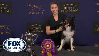 WATCH Best of 2021 Masters Agility Championships from Westminster Kennel Club  FOX SPORTS [upl. by Suiravat]