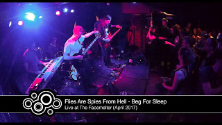 Flies Are Spies From Hell  Beg For Sleep live at The Facemelter April 2017 [upl. by Reames]